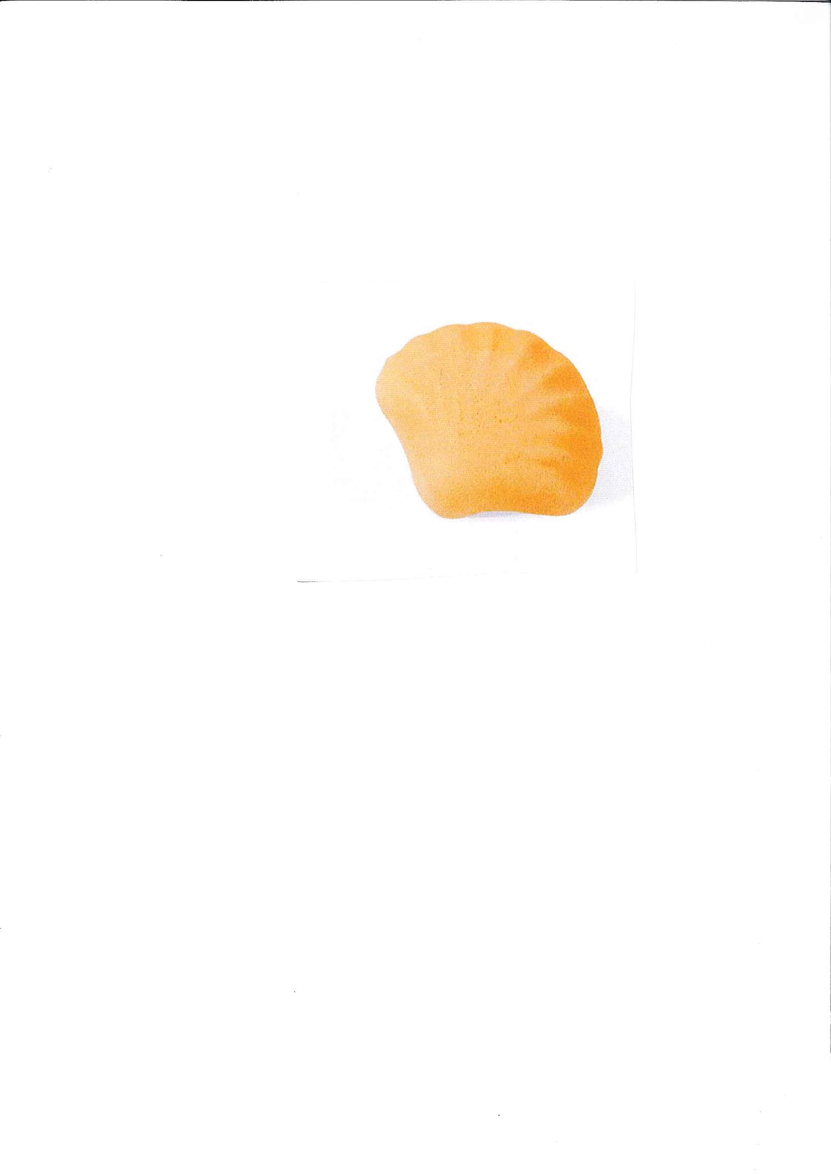 CONCHAS QUINTÍN  ONZA DE ORO 1 CAJA