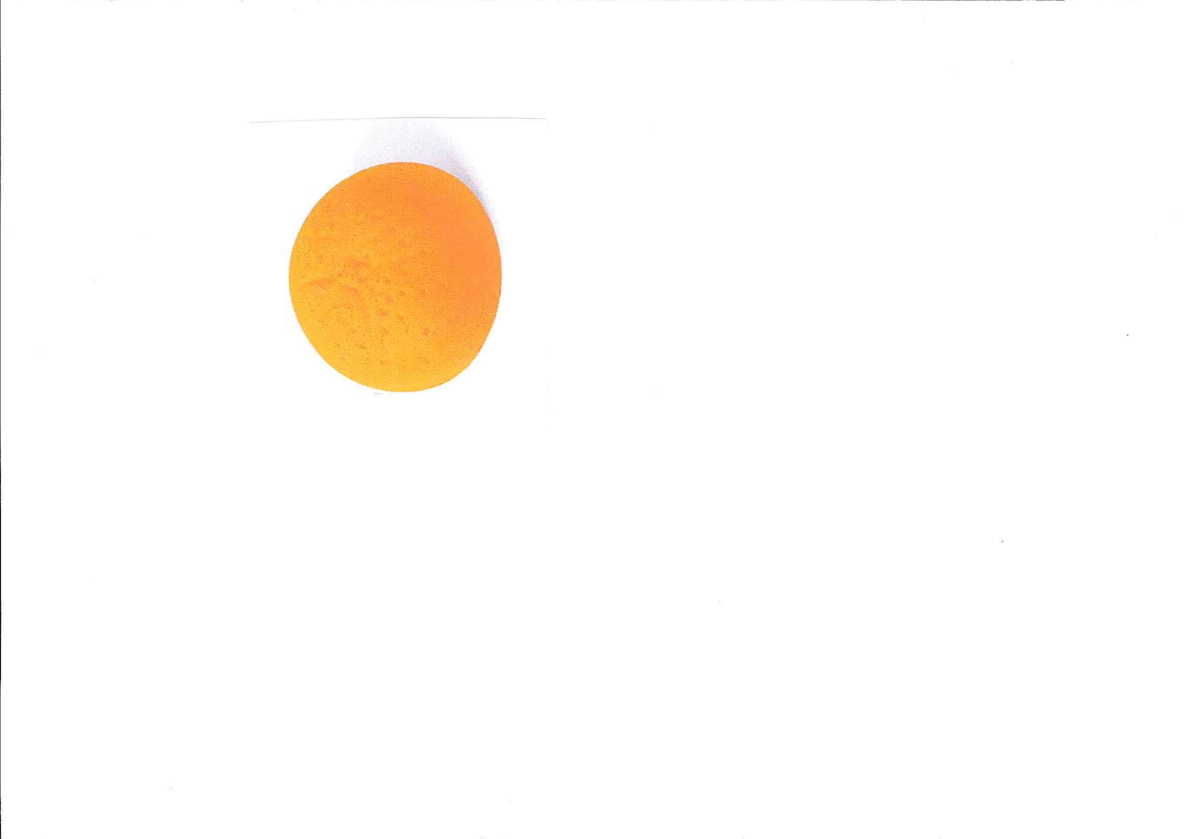 NARANJAS OBLEA QUINTIN ONZA DE ORO  1 CAJA